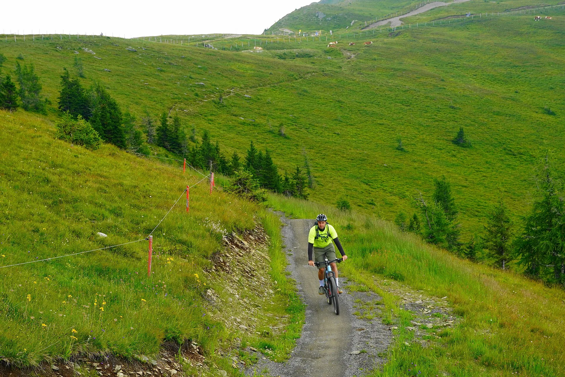 Mountainbiker op een bergpad over een groene berghelling