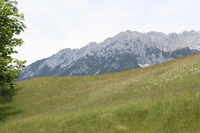 Bergweide met uitzicht op de Wilde Kaiser bij Ellmau