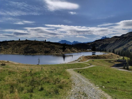 Houten topkruis op een grasrug met uitzicht over de bergketens – Gampenkogel (1.957 m), Westendorf