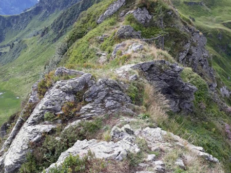 Rotsige bergkam met kalksteen en groene begroeiing – Brechhorn (2.032 m) vanaf de Alpenrosenbahn, Westendorf