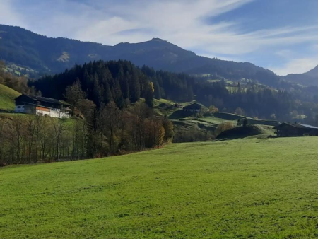 Weiland met bosrand en een bergkam op de achtergrond – Käsealm Straubing en de Windauer Ache, Westendorf