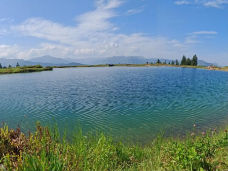 Turkooizen bergmeer met struiken langs de oever – Van Westendorf naar de Hohe Salve, Westendorf