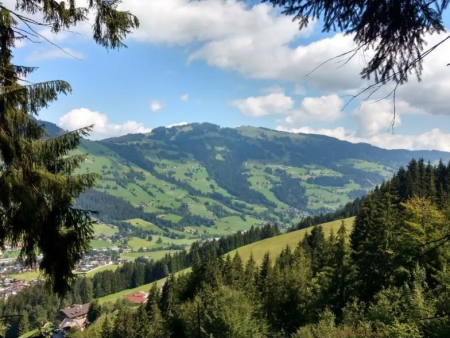 Uitzicht door de takken van een spar over het brede, groene dal – Holzwurmwanderweg en Talkaser – grote ronde, Westendorf