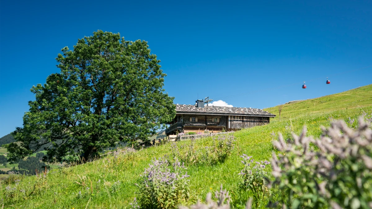 Zomer accommodaties in Westendorf